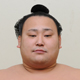 旭日松