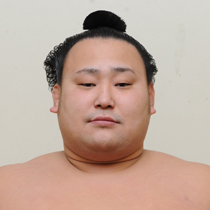 旭日松