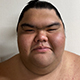 魁鵬